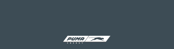 Puma Energy Chico