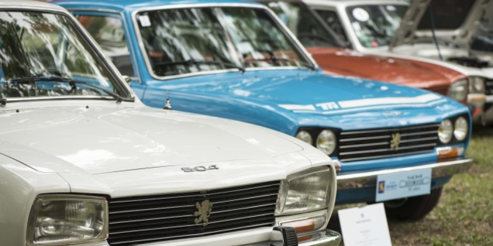 El Peugeot 504 festej&oacute; sus 50 a&ntilde;os en Autocl&aacute;sica