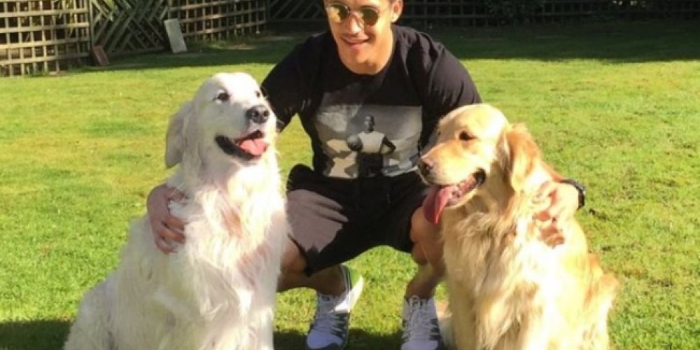 Hinchas del Arsenal piden un sueldo para las mascotas de Alexis Sánchez
