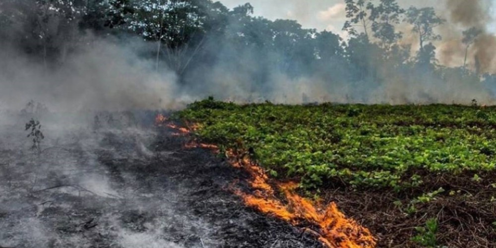 El f&uacute;tbol acompa&ntilde;a la cat&aacute;strofe del Amazonas 