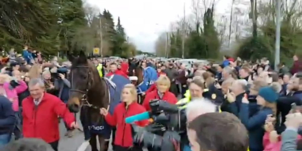 En Irlanda reciben a un caballo como un h&eacute;roe tras ganar la Gold Cup en Inglaterra