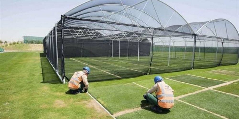Qatar cultiva el “césped perfecto” para el Mundial 2022