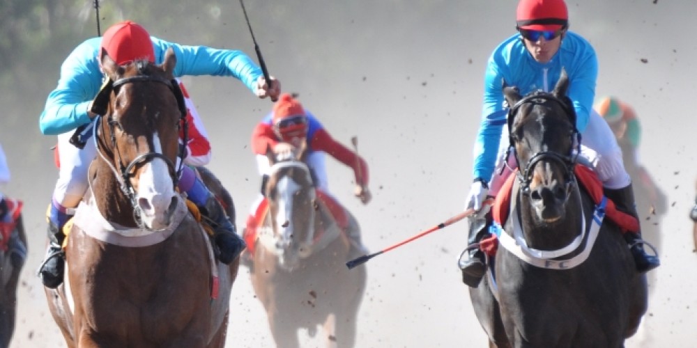 La Copa UTTA, visualizaci&oacute;n para un turf provinciano vivo