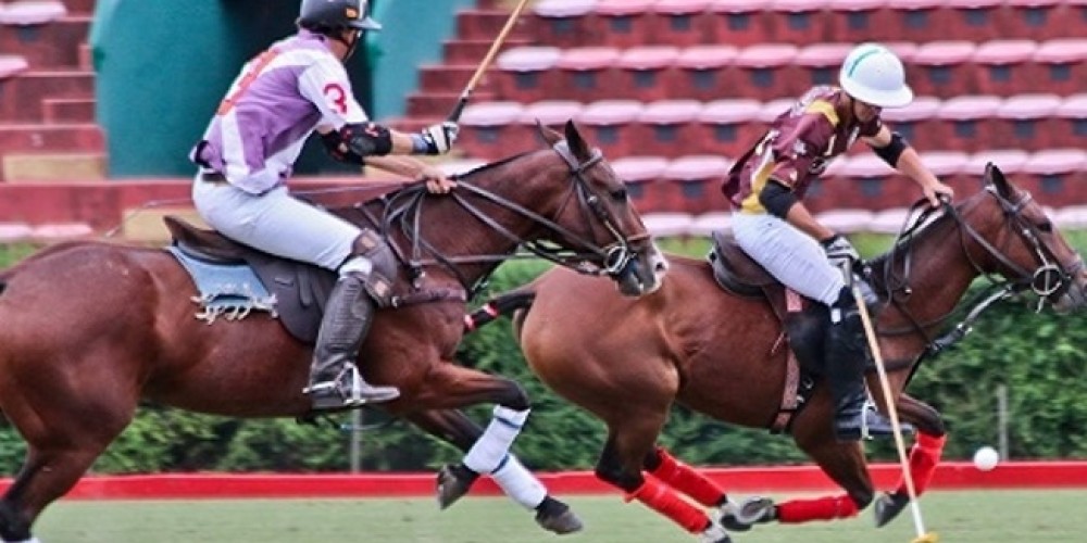 La Copa de Oro será organizada por la AAP en Palermo y Pilar