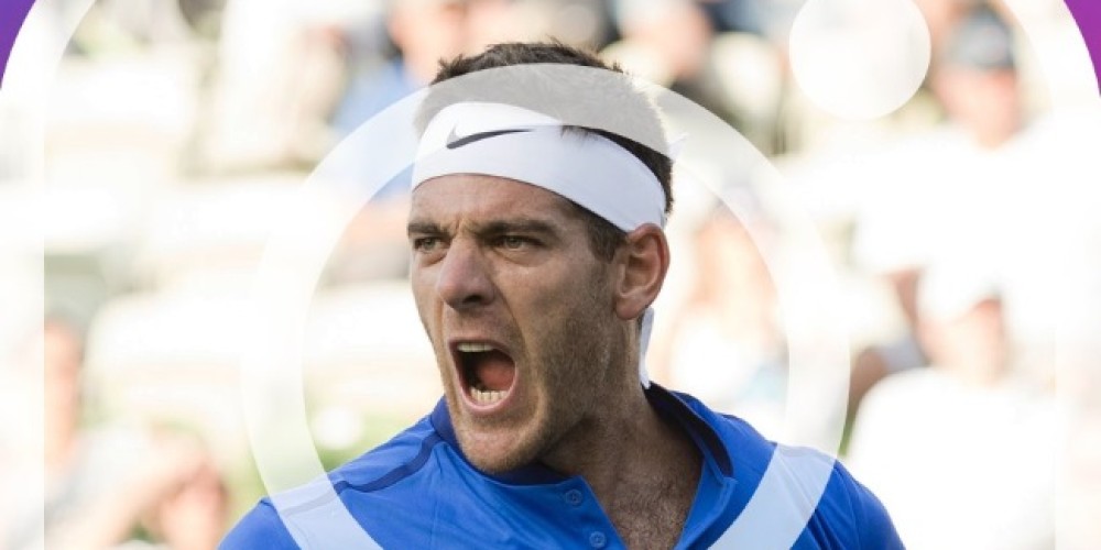 Del Potro present&oacute; su cuenta de Instagram