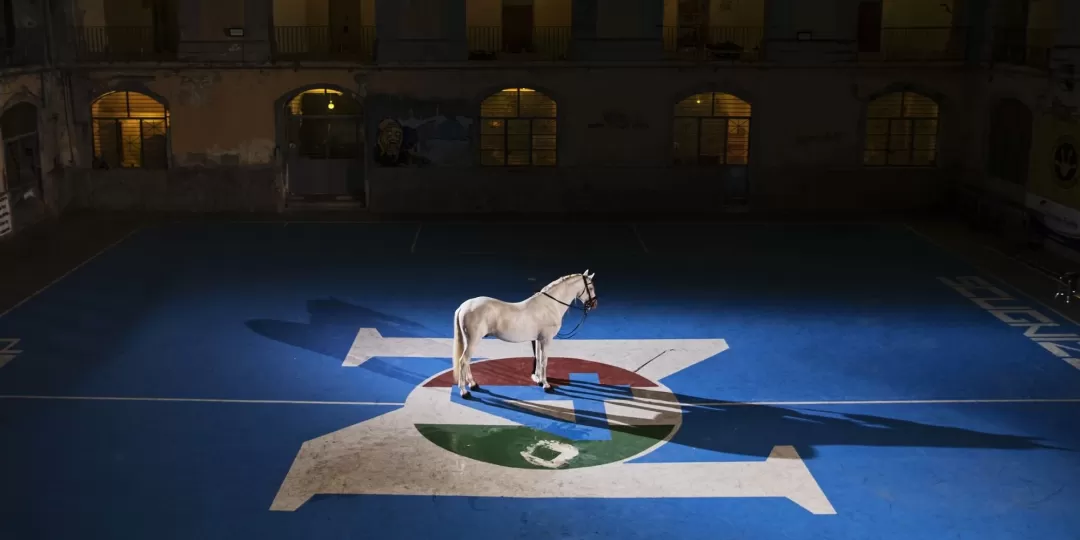 El nuevo escudo del Napoli por el centenario del club