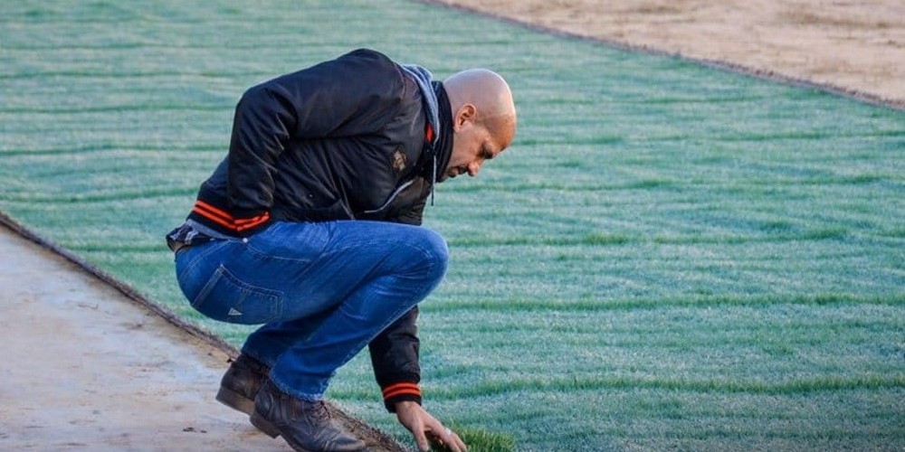 Sistema Playmaster, el curioso tipo de césped que tendrá el nuevo estadio de Estudiantes