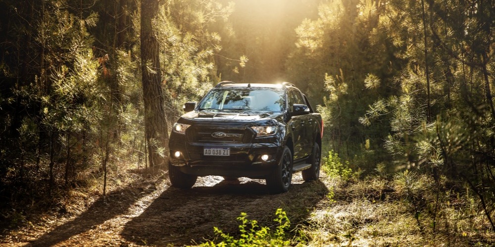 La raza fuerte de Ford se lucir&aacute; en Expoagro