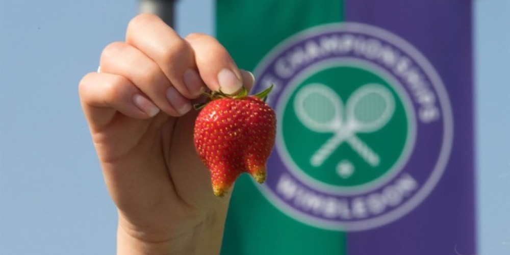 Wimbledon no quiere vender frutillas “deformes” en sus canchas de tenis