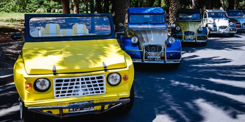 Mendoza festej&oacute; los 100 a&ntilde;os de Citro&euml;n: del 2CV al nuevo SUV C4 Cactus