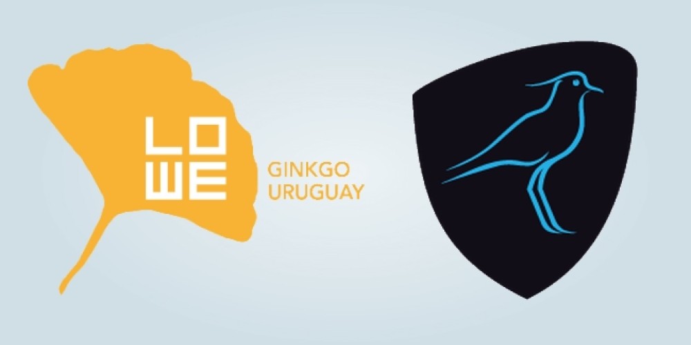 Lowe Ginkgo, la agencia detrás de Los Teros