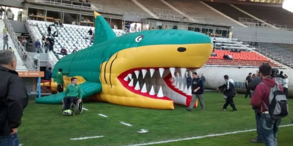 Un show aparte: La historia detrás de las increíbles mangas inflables del fútbol argentino