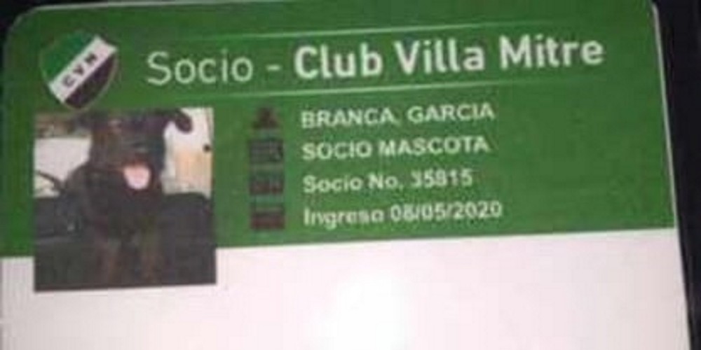 El club argentino que creó una categoría de socios para las mascotas