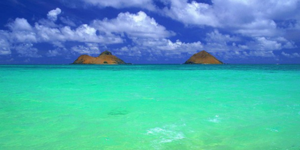 ​Los Oc&eacute;anos Esmeralda del Marketing