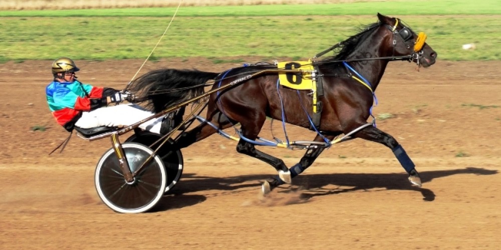 UTTA junto al Trote en el Gran Premio Interprovincial de la Milla