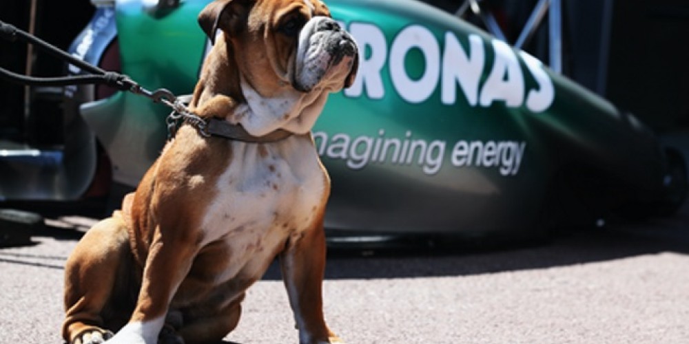 La mascota de Hamilton que gana más que algunos pilotos de Fórmula 1