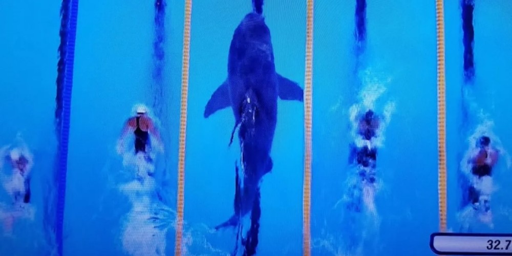 Así fue la emocionante carrera de Phelps frente a un tiburón blanco