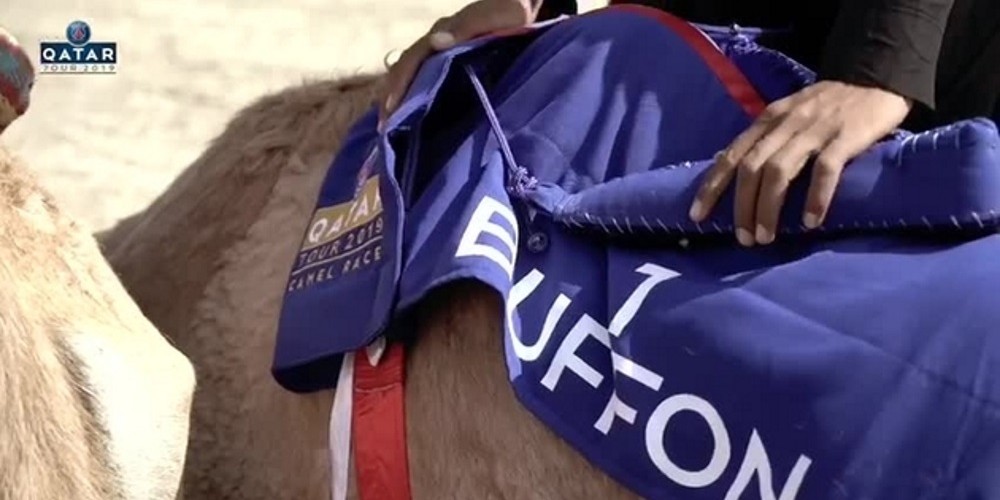 Los jugadores del PSG participaron de una carrera de camellos en Doha