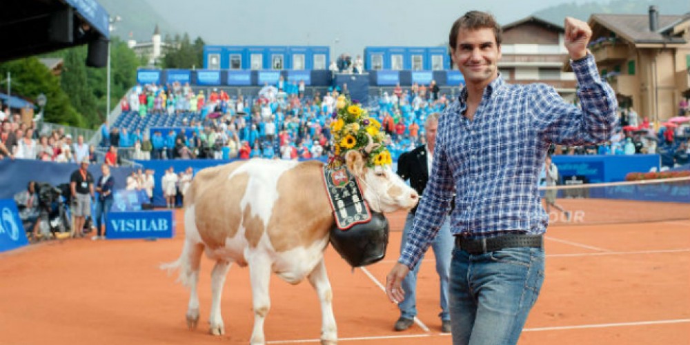 Federer recibi&oacute; otra vaca de regalo en Gstaad