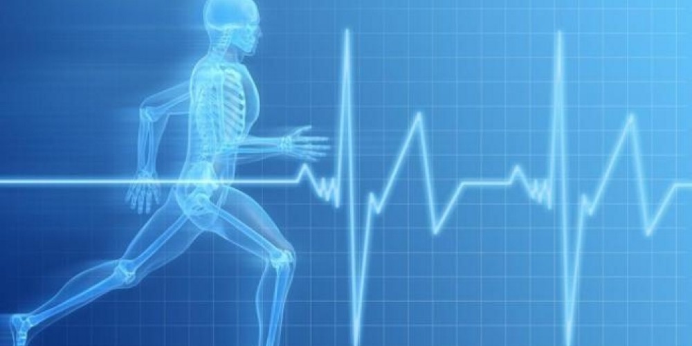 El deporte y su relaci&oacute;n con la salud