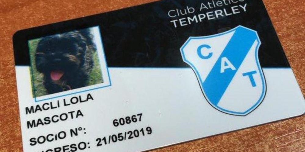 El equipo argentino que tendrá mascotas como socios