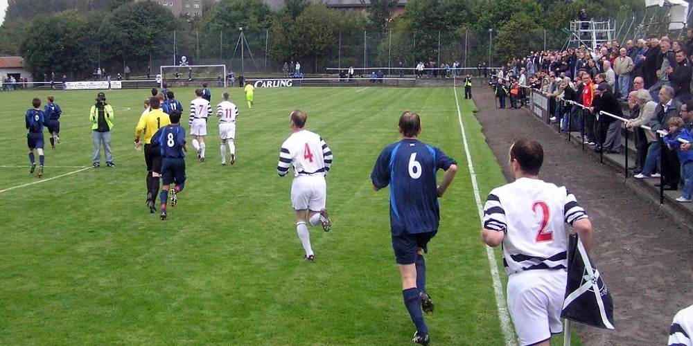 Yardley, el perro-hincha que tiene lugar propio en el estadio 