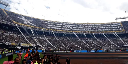 Botafogo busca globalizarse: anunció una alianza con OneFootball