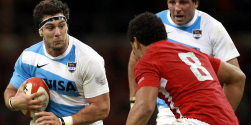 De jugar en Los Pumas a ser emprendedor: La historia de Manuel Carizza