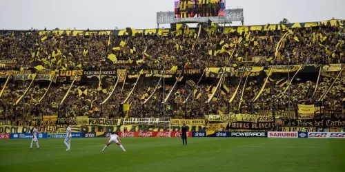Peñarol alcanzó los 500 mil seguidores, ¿cuántos tiene Nacional?