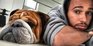 ¿Cuántos euros genera el perro de Lewis Hamilton por día?