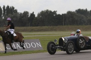 La velocidad de Fernando Alonso se midi&oacute; frente a &iexcl;un caballo!