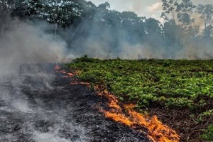 El f&uacute;tbol acompa&ntilde;a la cat&aacute;strofe del Amazonas 