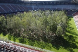 Plantaron un bosque en su estadio por una campa&ntilde;a y ahora no pueden jugar de local