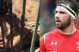 Scott Baldwin, el rugbier profesional que fue baja tras ser mordido por un le&oacute;n