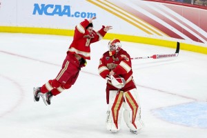 ¿Como será la serie que tendrá la NHL?