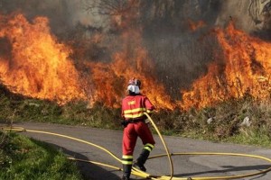 La casa de comidas r&aacute;pidas que quema sus publicidades para alertar sobre los incendios forestales