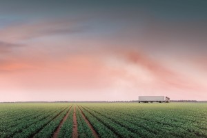 Mercedes-Benz Camiones junto a sus clientes, &ldquo;Kil&oacute;metro a Kil&oacute;metro&rdquo;