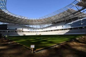 Una plaga de langostas amenaza con el desarrollo de partidos en el Mundial