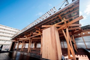 Village Plaza ¿cómo se construye la primera Villa Olímpica 100% sustentable?