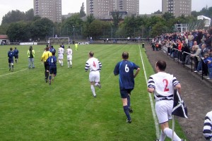 Yardley, el perro-hincha que tiene lugar propio en el estadio 
