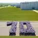 10 a&ntilde;os del Complejo Industrial de Nissan en Resende: construyendo la historia e impulsando el futuro