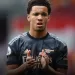 Con 15 a&ntilde;os debut&oacute; en el Arsenal y se convirti&oacute; en el debutante m&aacute;s joven de la historia de la Premier League
