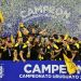 &iquest;C&oacute;mo se jugar&aacute; el f&uacute;tbol uruguayo en 2022?