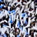 La AFA presenta "Mundo Selecci&oacute;n", su nueva Comunidad Oficial de Hinchas de la Selecci&oacute;n Argentina