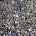 AFA public&oacute; un listado con los clubes argentinos que m&aacute;s socios tienen