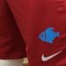 El ejemplar motivo por el cual el Almer&iacute;a luci&oacute; un &ldquo;pescadito azul&rdquo; en su short durante LaLiga