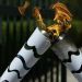 Detuvieron en Brasil a un hombre que intent&oacute; apagar la antorcha ol&iacute;mpica por una apuesta