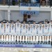 Argentina logró el subcampeonato en el Sudamericano U17