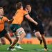Australia prepara una demanda millonaria para los All Blacks