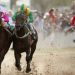 El Hip&oacute;dromo de Santa Fe sigue revolucionando el turf en el interior